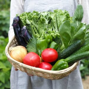 無農薬野菜セット
