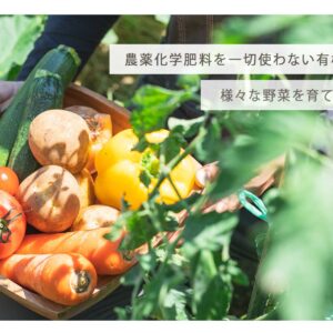 季節の有機野菜セット