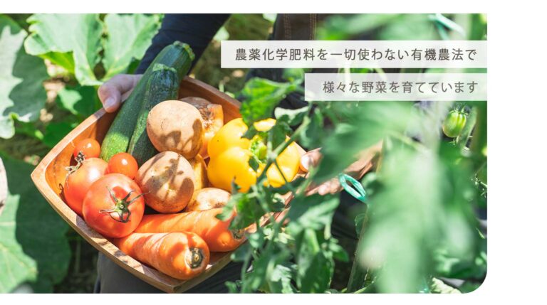 季節の有機野菜セット